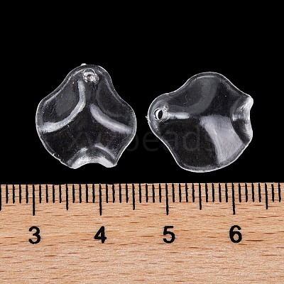 Transparent Acrylic Pendants TACR-G050-01F-1