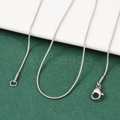 Non-Tarnish 304 Stainless Steel Snake Chain Necklaces X-NJEW-F196-14P-1