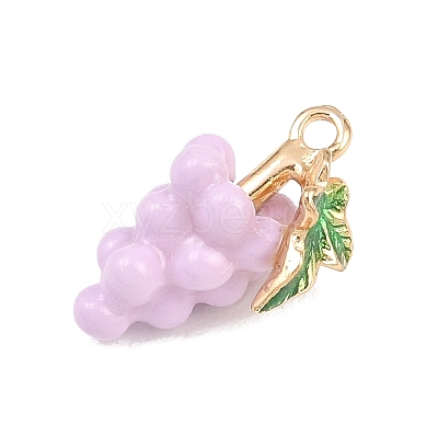 Fruit Alloy Enamel Pendants ENAM-P264-02G-G04-1