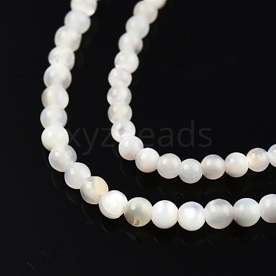 Natural White Shell Bead Strands X-SSHEL-N003-144A-01-1