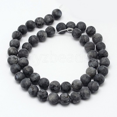 Natural Larvikite Beads Strands G-D692-10mm-1