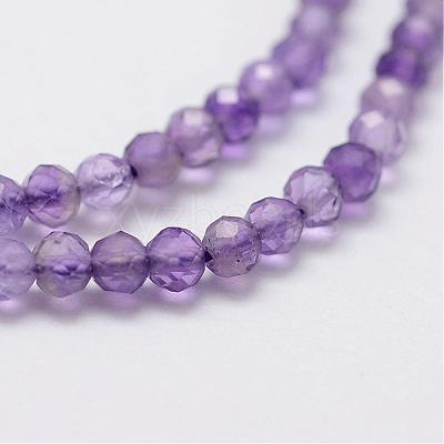 Natural Amethyst Bead Strands G-G663-17-2mm-1