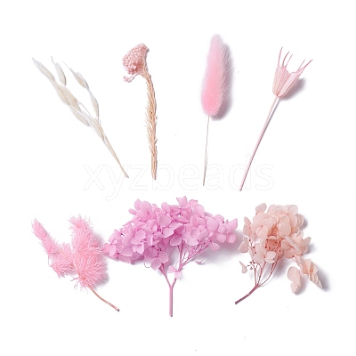 Dried Flowers DIY-D052-09-1