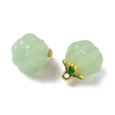 Glass Charms GLAA-P072-04G-06-1