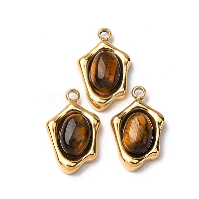 Natural Tiger Eye Irregular Oval Charms STAS-L022-525G-02-1