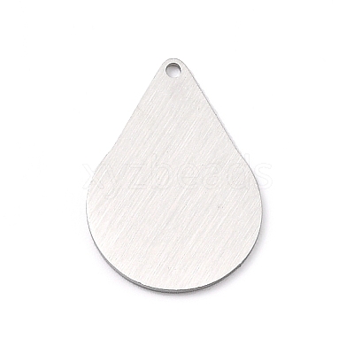 Tarnish Resistant 304 Stainless Steel Pendants LS-STAS-F271-05E-P-1