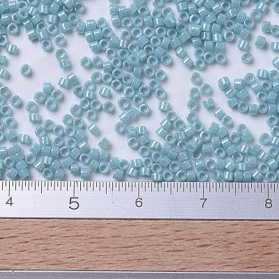 MIYUKI Delica Beads SEED-X0054-DB0217-1