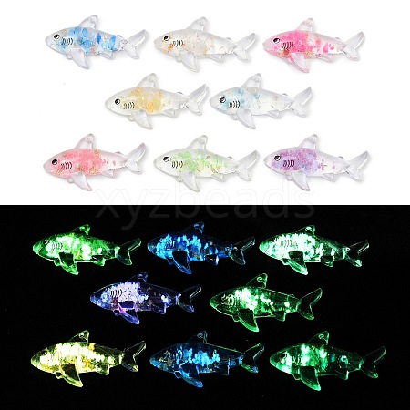 10Pcs Transparent Luminous Acrylic Pendants TACR-FP0001-02C-1