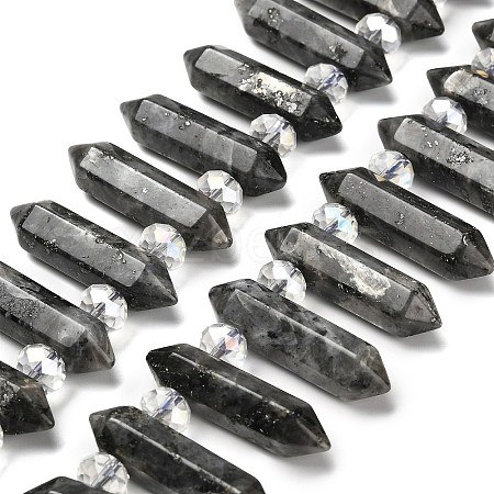 Natural Larvikite Double Terminated Point Beads Strands G-H069-A06-01-1