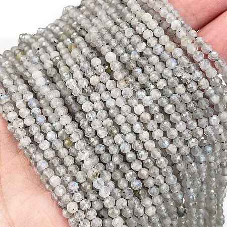 Natural Labradorite Beads Strands G-I341-11A-1