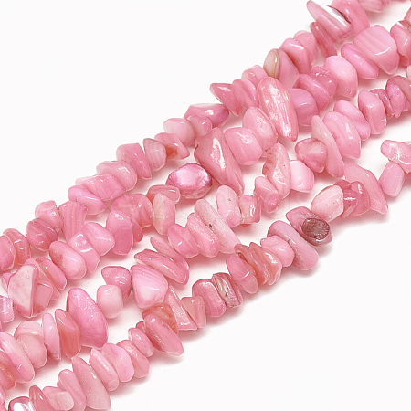 Freshwater Shell Beads Strands SHEL-S270-05-1