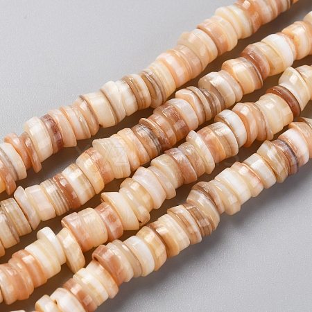 Natural Freshwater Shell Beads Strands SHEL-C001-06B-1