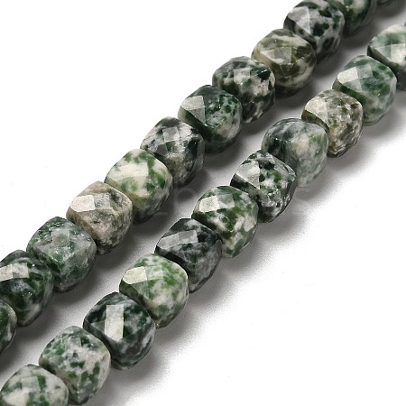 Natural Green Spot Jasper Beads Strands G-H078-C27-01-1