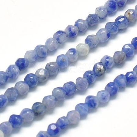 Natural Sodalite Beads Strands X-G-J002-09-1