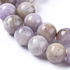 Natural Amethyst Beads Strands X-G-L555-01-10mm-2