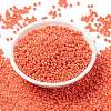 MIYUKI Round Rocailles Beads X-SEED-G008-RR0424-4