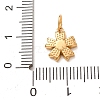 304 Stainless Steel Micro Pave Clear Cubic Zirconia Charms CU-CBAB6EC-24G-3