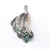 Brass Paua Shell Pendants SSHEL-F0006-13-1