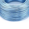 Anodized Aluminum Wire AW-S001-1.0mm-19-2