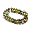 Natural Rhyolite Jasper Bead Strands G-G684-01-8mm-3