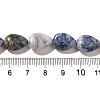 Natural Blue Spot Jasper Beads Strands G-I377-A12-5