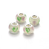 Handmade Lampwork European Beads LPDL-N001-056-F10-2