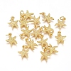 Electroplated Alloy Charms PALLOY-G267-06G-1