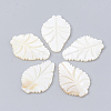 Freshwater Shell Cabochon SHEL-Q020-14B-1