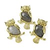 Natural Labradorite Pendants KK-F888-02G-17-1