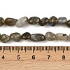 Natural Labradorite Beads Strands LS-G-C250-03-5