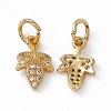 Rack Plating Brass Cubic Zirconia Charms KK-M236-10G-1