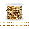 304 Stainless Steel Paperclip Chains CHS-WH0020-005G-1