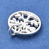 925 Sterling Silver Charms STER-S009-01C-S-2