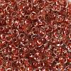 6/0 Transparent Colours Glass Seed Beads SEED-P006-01A-05-3