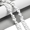 Natural Howlite Beads Strands G-Q167-B02-01-2