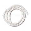 Natural Trochid Shell/Trochus Shell Beads Strands X-SSHEL-O001-24B-02-1