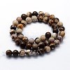 Natural Zebra Jasper Beads Strands X-G-I199-10-8mm-2