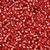 TOHO 6/0 Round Beads SEED-XTR06-2201-4