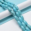 Natural Howlite Beads Strands G-E604-I01-2