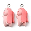 Opaque Resin Cartoon Pendants CRES-B015-04-1