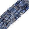 Natural Blue Aventurine(Dyed & Heated) Beads Strands G-I394-A09-2
