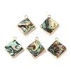 Natural Paua Shell Pendants SHEL-P017-13G-1