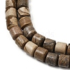 Natural Picture Jasper Beads Strands G-G275-D19-10x10mm-4