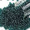 TOHO Round Seed Beads SEED-TR08-0108BD-1