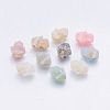 Resin Beads RESI-K006-C-1