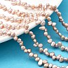 Natural Cultured Freshwater Pearl Beads Strands PEAR-I007-03B-01B-5