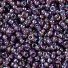 MIYUKI Round Rocailles Beads SEED-JP0009-RR0360-3