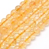 Natural Citrine Beads Strands X-G-P335-11-8mm-A-1