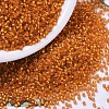 MIYUKI Delica Beads SEED-X0054-DB0681-1