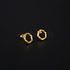 304 Stainless Steel Ring Stud Earring for Women KE1906-2